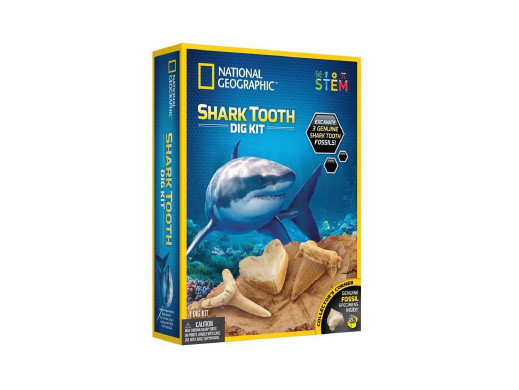 Zestaw National Geographic - Zestaw wykopaliskowy Ząb rekina (Shark Tooth Dig Kit)