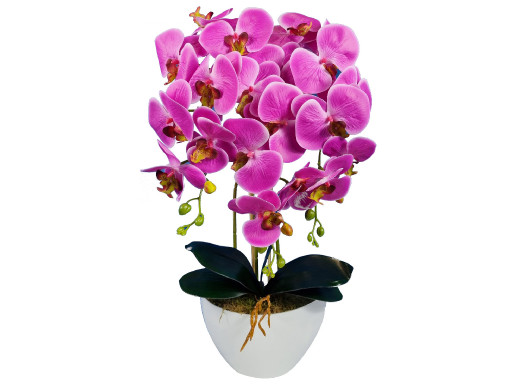 Storczyk sztuczny kwiat różowy Orchidea, jak żywy guma 3pgoc